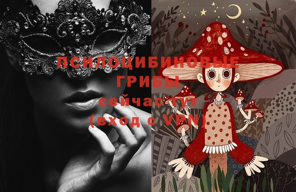 мдпв Абдулино