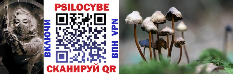 Псилоцибиновые грибы прущие грибы  Болхов 