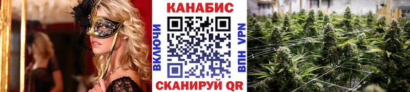 Каннабис марихуана  Болхов 